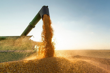 Мировые цены на зерно снизились после стамбульских соглашений